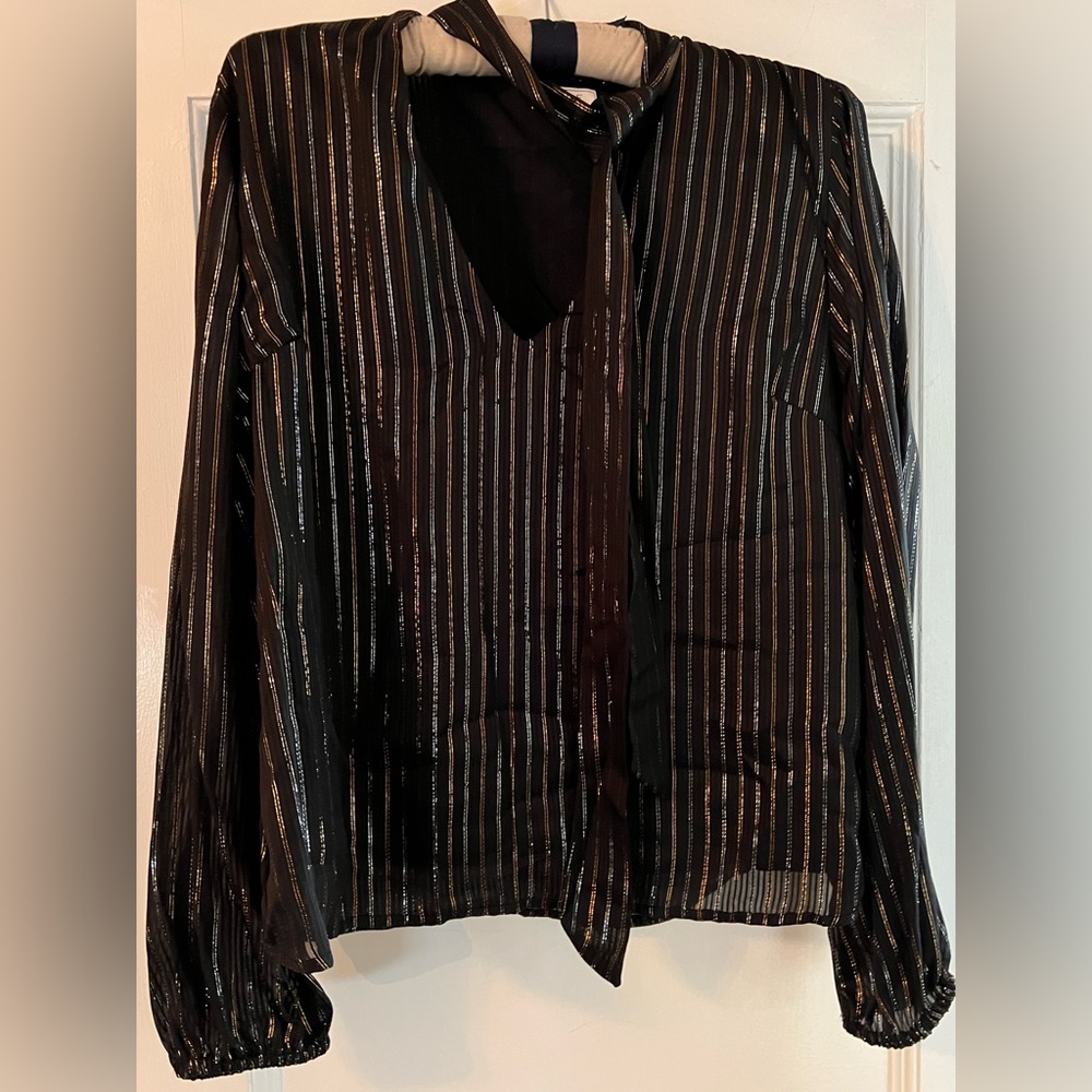 Sparkly, black and silver/gold blouse, tie at neck